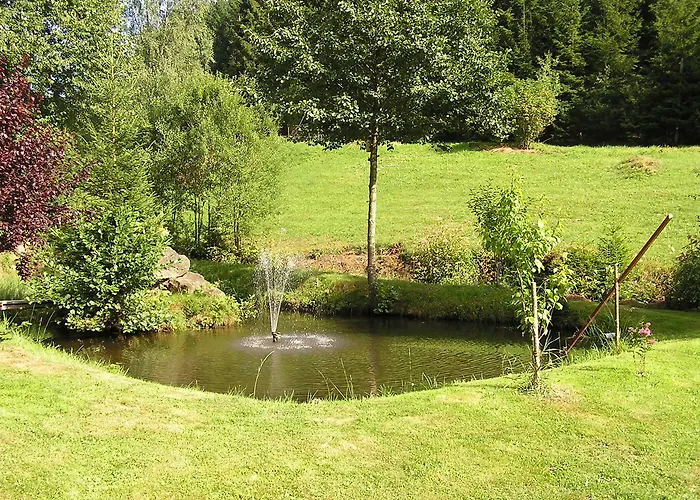 Muehle - Natur- & Wanderhotel 3* Rinchnach