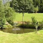 Muehle - Natur- & Wanderhotel 3* Rinchnach